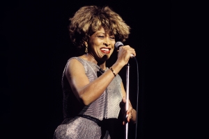 Tina Turner Essentials 1993